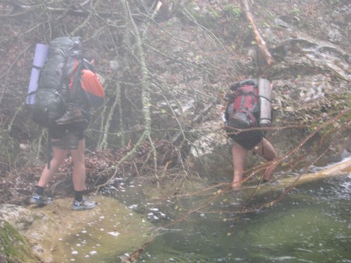 Если воды показалось мало, то еще начали попадаться сломанные деревья.